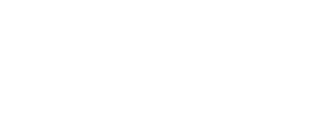 REMAX Best Logo