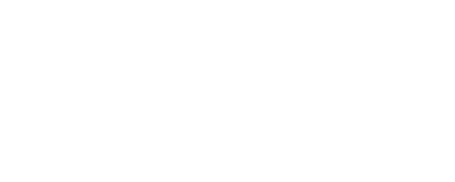 Lavita Immo Logo